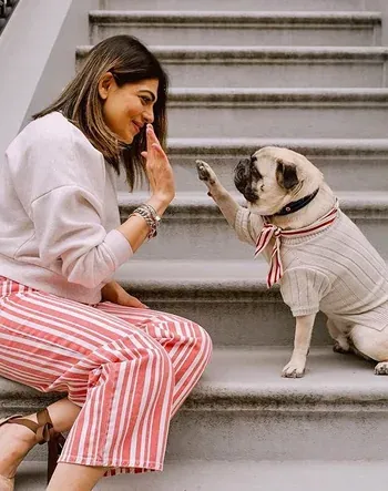 Follow the pet lovers