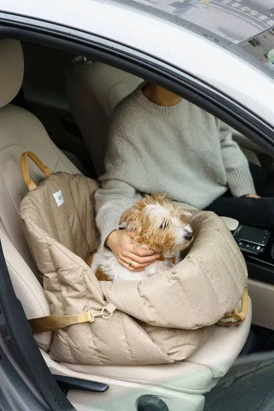 Pet