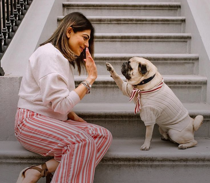 Follow the pet lovers